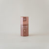 Woman's Dream Theezakjes BIO TwisTea Professional